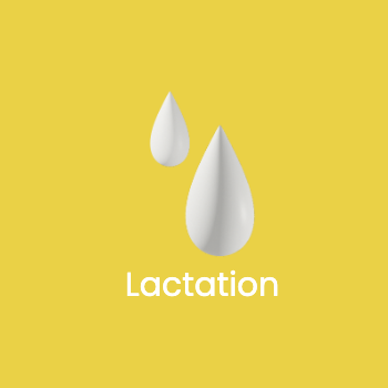 Lactation